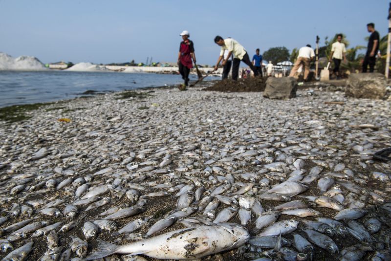 Nelayan Laksanakan Desak Reforma Agraria Pesisir dan Laut